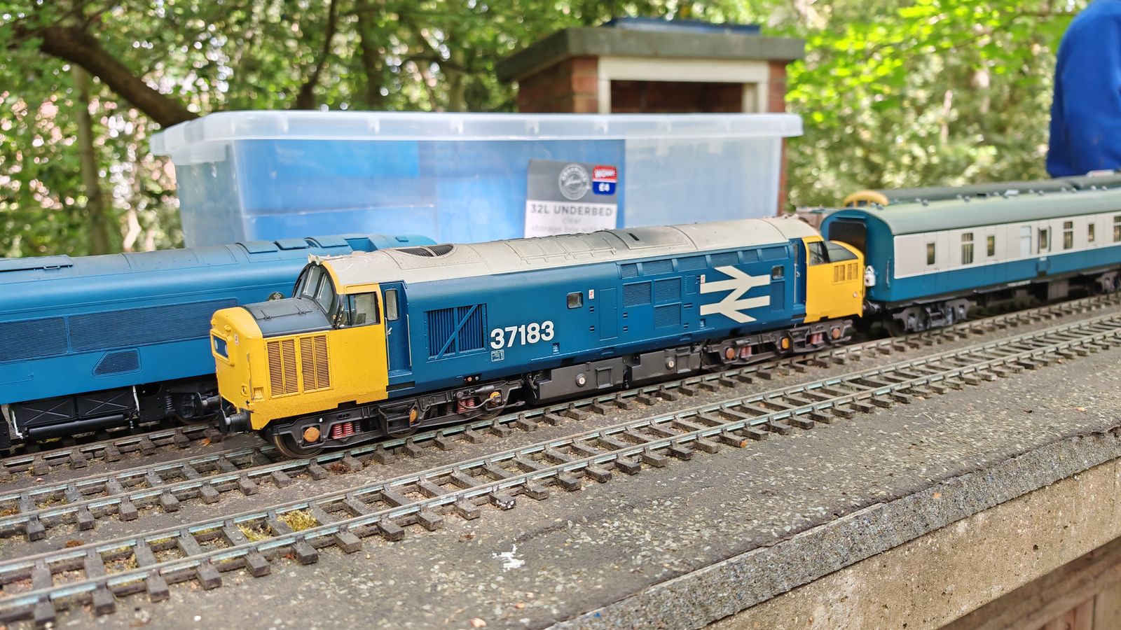 O Gauge
